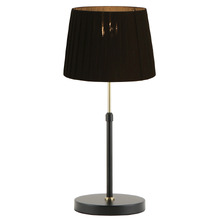 Raidan Adjustable Table Lamp